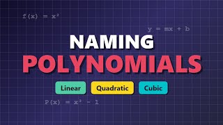 Classifying Polynomials by Degree: Linear, Quadratic, & Cubic 📐