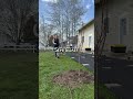 How Far Apart To Plant A Semi Dwarf Fruit Tree Fruittrees How Far Apart To Plant A Semi Dwarf Fruit Tree Fruittrees