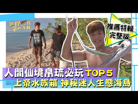 【人間天堂 帛琉】 秘境推薦 TOP5 海豚灣／德國水道 潛進上帝水族箱／海釣巨魚戰場／野溪 野生大尾鱸鰻／凱漾島 叢林陸蟹｜《世界第一等》精選特輯69集