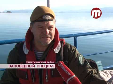 Рейд по рыбе