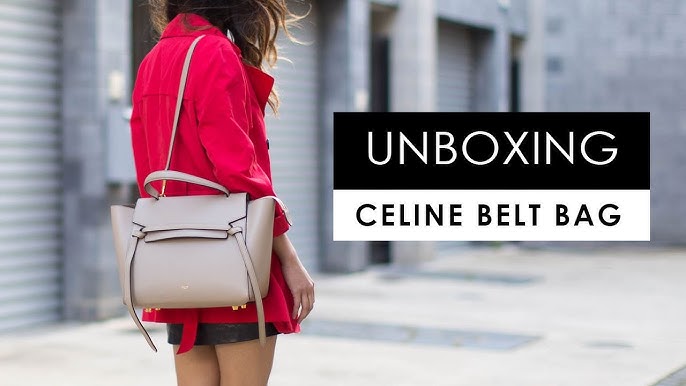 Celine Mini, Micro, AND Nano Belt Bag  Comparison, WIMB and My Pick 