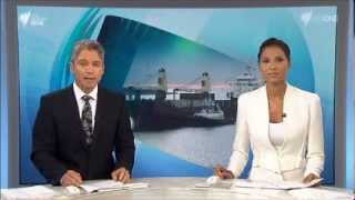 SBS World News - Montage (17/2/2014)
