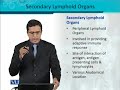 BT302 Immunology Lecture No 19
