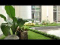 Chính sách - YouTube