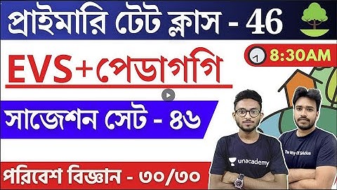 WB Primary TET 2022 Environment Class - 46 | প্রাইমারি টেট পরিবেশ ও পেডাগগি | WB TET EVS Pedagogy