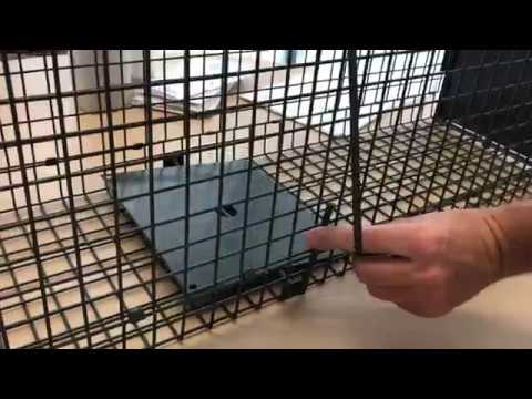 How to Set: Havahart® X-Small 1-Door Trap Model #0745 for Chipmunks, Rats &  Squirrels 