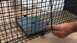 How to setup your Pestrol large live animal trap.
