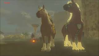 Side-By-Side Comparison Between The Fake Epona And The Real Epona