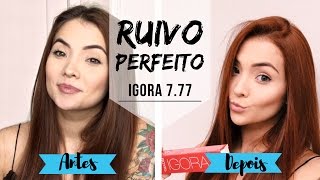 PINTANDO DE RUIVO, IGORA 7.77