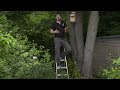 How to put up a nest box