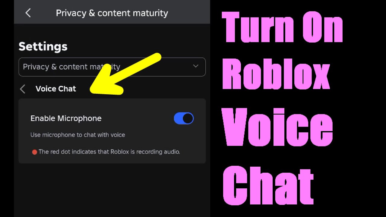 How To Turn On VOICE CHAT On Roblox Mobile Step By Step Guide YouTube 