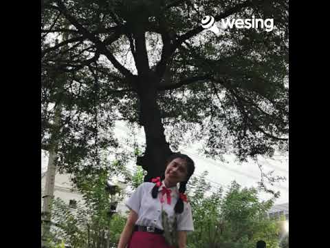 FFK Medley คำถาม, ไม่ใช่อิจฉา(K Fight Live Version)
