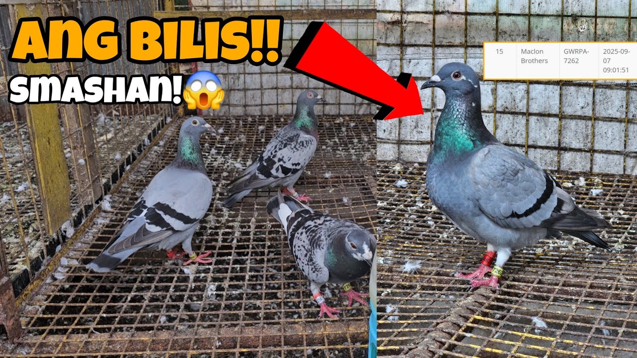 GWRPA 1ST LAP FUN RACE ARITAO NUEVA VIZCAYA NAGPAKITANG GILAS AGAD SA SPEEDAN!😱