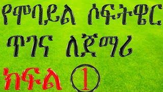 🔴የሞባይል ሶፍትዌር ጥገና || ክፍል 1Mobile software maintenance #you tube screenshot 3