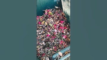 The Secret To Great Compost - Yard Waste Bins #compost #composting #composting101 #sustainability