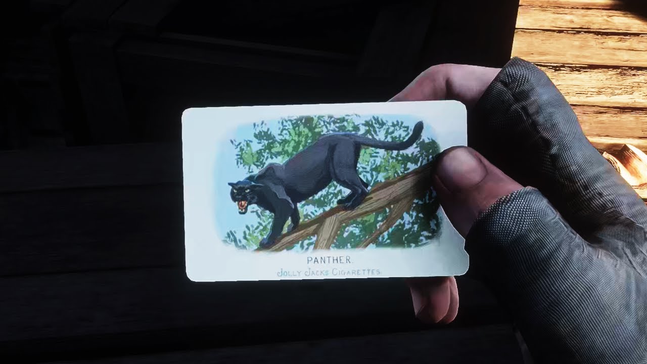 FAUNA OF AMERICA CARD 8 CIGARETTE CARDS LOCATION RED DEAD