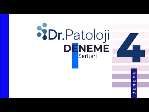 PATOLOJİ DENEME SINAVI 4