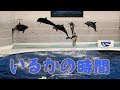 『いるかの時間 』 いおワールドかごしま水族館 の動画、YouTube動画。