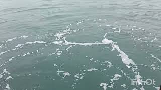 Walking around New Cyberport Water Front 