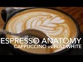 ESPRESSO ANATOMY - Cappuccino vs Flat White