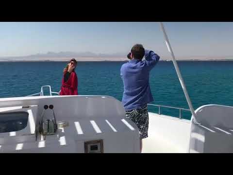 გიორგი მახარაშვილის ცოლი