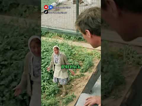 Обокрал собственную семью 😱😱 #shorts #советскоекино #советскиефильмы #ссср #80s #сериалы #мелодрама