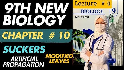 9Th Class Biology New Book 2025 ||PCTВ ||Chapter 10 || Lecture no 4 ||9th new Biology