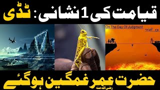 Qayamat Ki Nishaniyan Titdi | Locusts 1 Signs Of Judgment Day | Qayamat Kab Aaegi ?