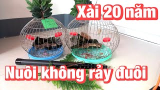 Lồng nuôi chim cu gáy inox bao xài, bao đẹp, giao hàng toàn quốc, 0913260614 zalo, anh bảy thép