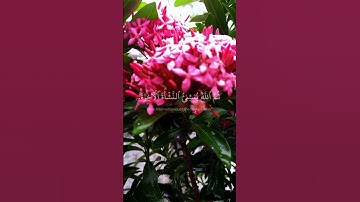 القران الكريم 🥀#قرآن ً#viralvideo #اكسبلور #المصحف #subscribe #share #support #راحة_نفسية #لايك