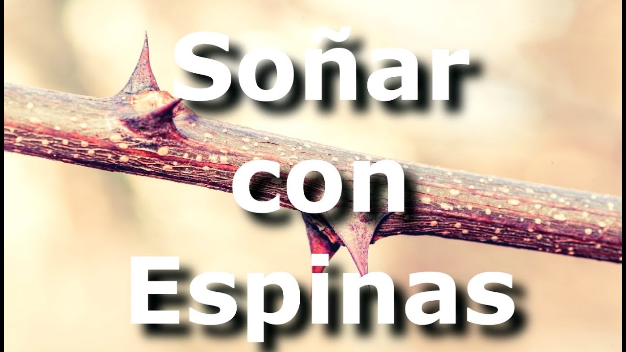 Espina - Soñar con espina, espinas, pinchos, espina de rosa, espina de