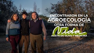 HICIERON DEL ACEITE DE OLIVA SU MEDICINA | Agroecología y salud.