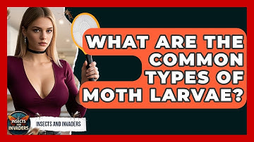 What Are The Common Types Of Moth Larvae? - Insects and Invaders