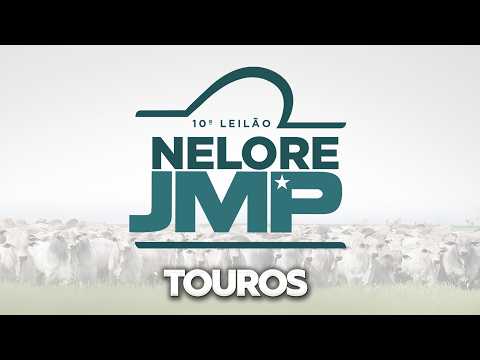 LOTE 159