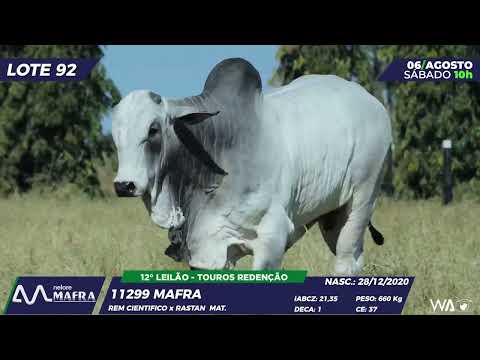 LOTE 92 MFRA 11299