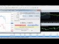 FX ONE SCALPER AND NEW SIGNAL PRO SERVICE - FIRST INTRODUCTION !!