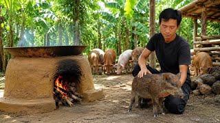 Making a clay kitchen | Harvesting papayas to cook for the whole herd of pigs
