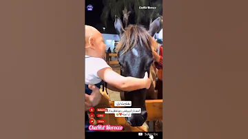 مقطع متداول الحصان لم يرفض دعوة طفل يناديه لمداعبته والحصان حقق له طلبه بكل تلقائية Shorts 