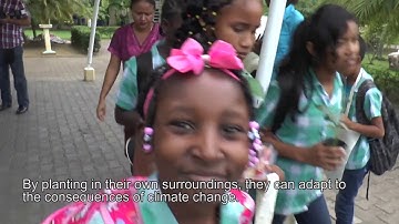 J-CCCP Communication Campaign Launched in Suriname