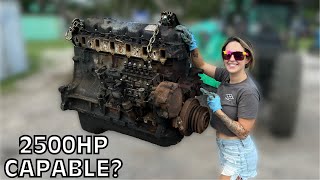 STRIPPING DOWN a 35 Year Old Ford Diesel Engine for HIGH PERFORMANCE Build