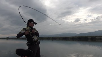 ステルススイマー予告