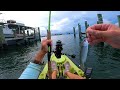 Download Lagu Found Loads of Fish Around This Dock - Mullet Run Season Fishing With Live Finger Mullet