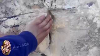 كنوز مخفية تحرسها فخاخ شيطانية