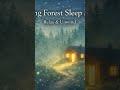 Whispers of Forest SleepInto the Emerald DreamForest Sleep:  #NatureCalm #DeepRelax #AmbientDreams