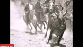 Toada Linda Jóia Cantada Por Cheiro Da Vaquejada