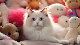 EXTREMELY Soothing Cat Therapy Music  Relax And Sleep for Your Cat | Calming Music for Anxious Cats