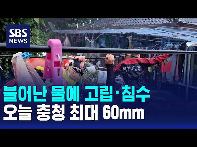 불어난 물에 고립·침수..오늘 충청 최대 60mm / SBS 모닝와이드 1부