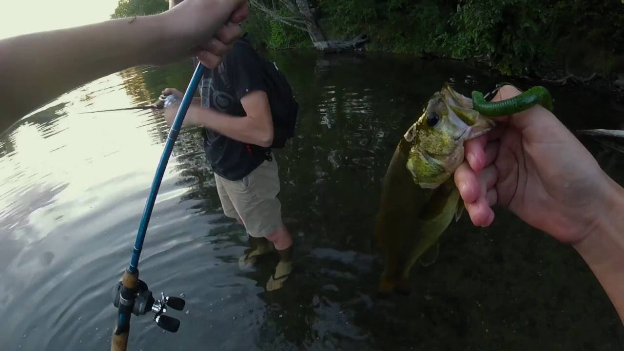 Bass Fishing the Slough - Fishing Washington Ep 1 - YouTube
