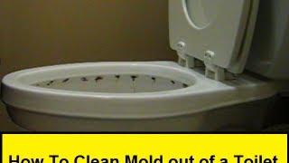 How To Clean Mold out of a Toilet (HowToLou.com)