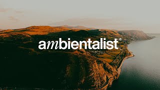 The Ambientalist - The World Is Your Home